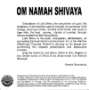 namah-shivaya1.gif (32826 bytes)